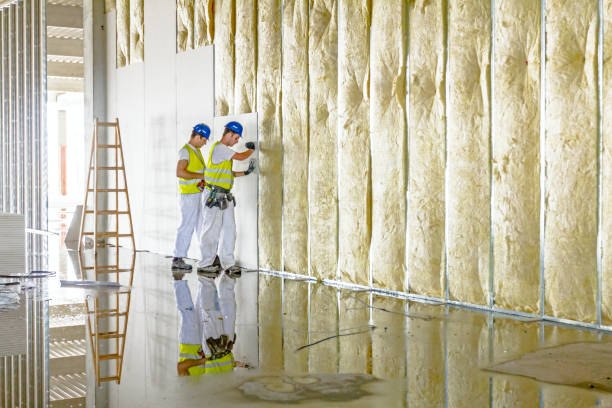 Best Residential Insulation in Mason, TX